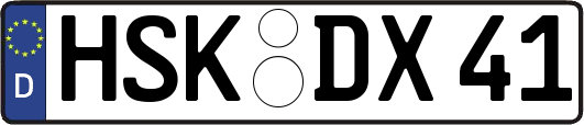 HSK-DX41