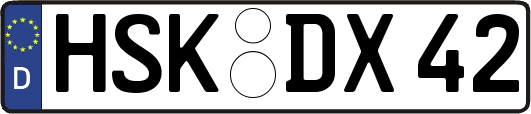 HSK-DX42