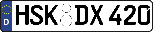 HSK-DX420