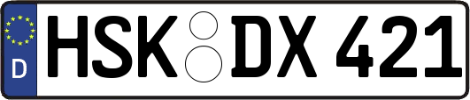 HSK-DX421
