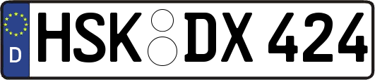 HSK-DX424