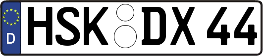 HSK-DX44