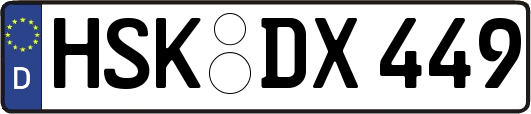 HSK-DX449