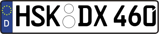 HSK-DX460
