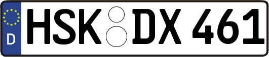 HSK-DX461