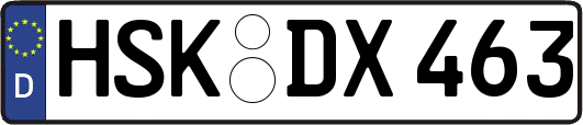 HSK-DX463