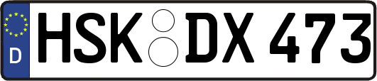 HSK-DX473
