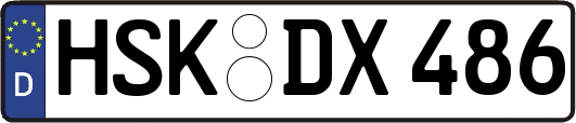 HSK-DX486