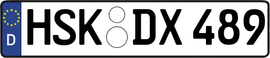 HSK-DX489