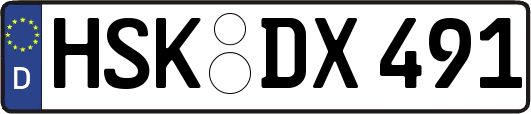 HSK-DX491