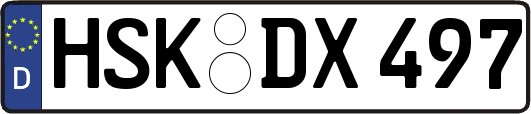 HSK-DX497