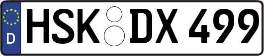 HSK-DX499