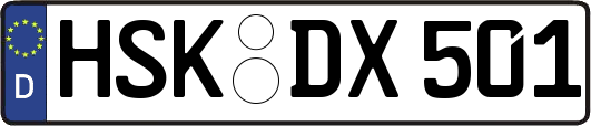 HSK-DX501
