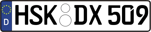HSK-DX509