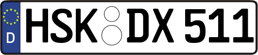 HSK-DX511