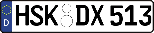 HSK-DX513