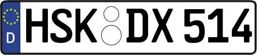 HSK-DX514