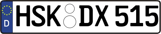 HSK-DX515