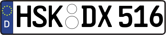 HSK-DX516
