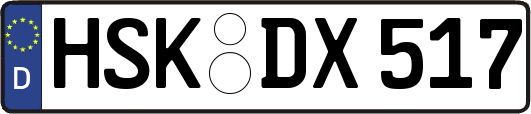 HSK-DX517