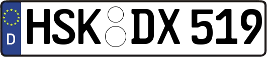 HSK-DX519