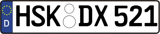 HSK-DX521