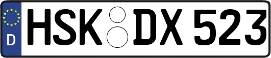 HSK-DX523