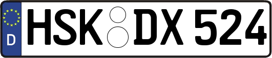 HSK-DX524