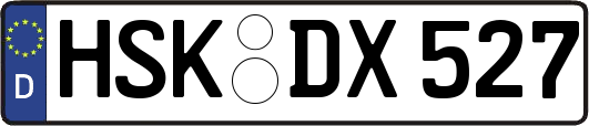 HSK-DX527