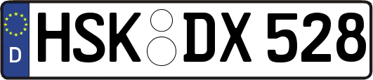 HSK-DX528