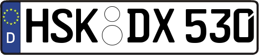 HSK-DX530