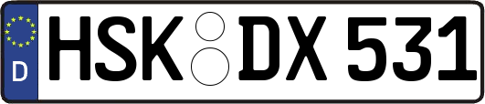 HSK-DX531