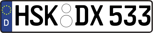 HSK-DX533