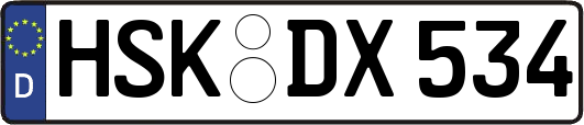 HSK-DX534