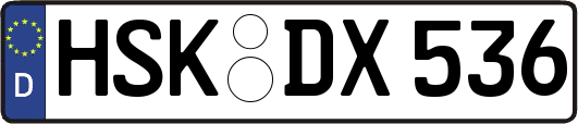HSK-DX536