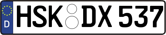 HSK-DX537
