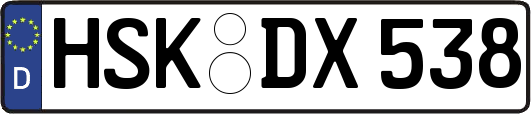 HSK-DX538