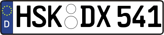 HSK-DX541