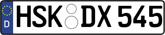 HSK-DX545
