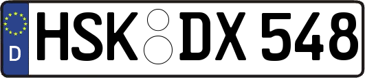 HSK-DX548