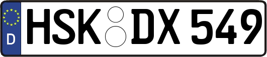 HSK-DX549