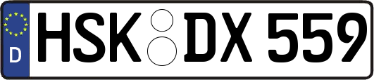 HSK-DX559