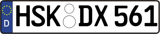 HSK-DX561