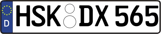 HSK-DX565