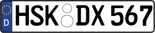 HSK-DX567