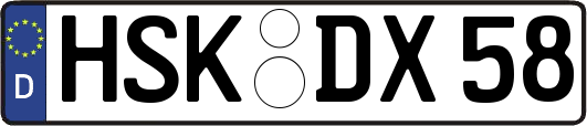 HSK-DX58
