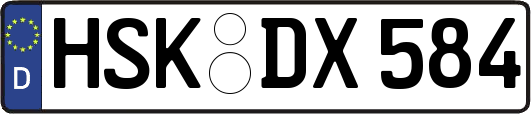 HSK-DX584