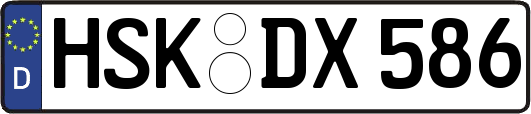 HSK-DX586
