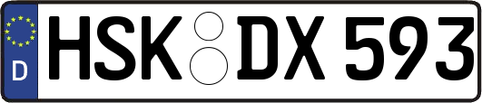 HSK-DX593