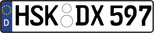 HSK-DX597